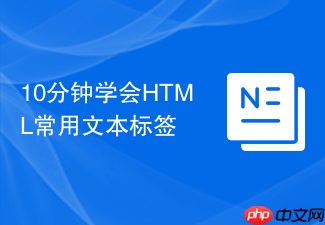 10分钟学会html常用文本标签