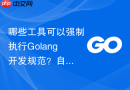 哪些工具可以强制执行Golang开发规范？自动化构建流配置