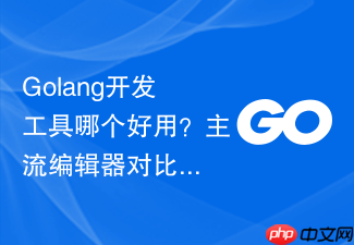 golang开发工具哪个好用?主流编辑器对比与选择推荐