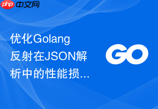 优化golang反射在json解析中的性能损耗