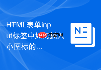 html表单input标签中如何插入小图标的教程