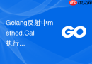 golang反射中method.call执行缓慢的原因与优化