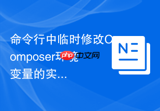 命令行中临时修改composer环境变量的实用技巧
