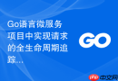 Go语言微服务项目中实现请求的全生命周期追踪