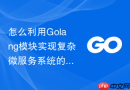 怎么利用Golang模块实现复杂微服务系统的优雅降级熔断器