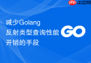 减少golang反射类型查询性能开销的手段