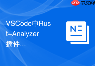 vscode中rust-analyzer插件配置与性能优化方法