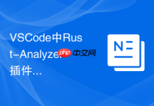 VSCode中Rust-Analyzer插件配置与性能优化方法