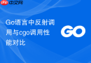 Go语言中反射调用与cgo调用性能对比