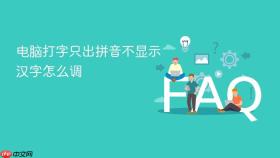电脑打字只出拼音不显示汉字怎么调
