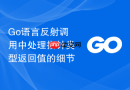 go语言反射调用中处理指针类型返回值的细节