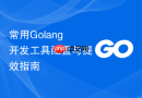 常用Golang开发工具配置与提效指南