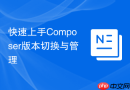 快速上手composer版本切换与管理