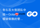 怎么在大型团队中统一golang模块依赖的管理标准