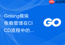 Golang模块依赖管理在CI CD流程中的最佳集成方式