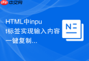 html中input标签实现输入内容一键复制的教程