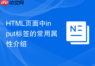 html页面中input标签的常用属性介绍