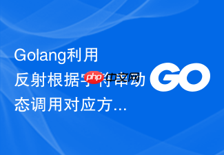 golang利用反射根据字符串动态调用对应方法