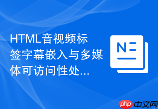 html音视频标签字幕嵌入与多媒体可访问性处理