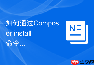 如何通过composer install命令排查项目依赖的安全预警