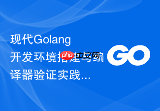现代golang开发环境搭建与编译器验证实践