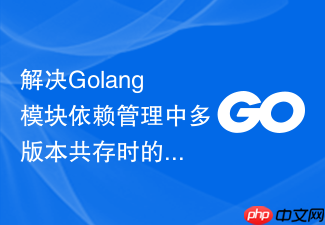 解决golang模块依赖管理中多版本共存时的符号冲突