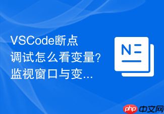 vscode断点调试怎么看变量?监视窗口与变量查看方法