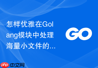 怎样优雅在golang模块中处理海量小文件的快速读取