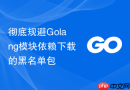 彻底规避Golang模块依赖下载的黑名单包