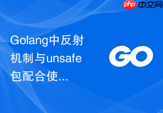 golang中反射机制与unsafe包配合使用的边界安全