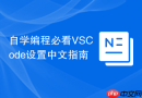 自学编程必看VSCode设置中文指南