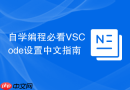 自学编程必看vscode设置中文指南