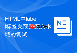 html中label标签关联隐藏文本域的调试