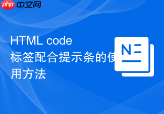 html code标签配合提示条的使用方法