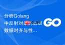 分析golang中反射对象的底层数据对齐与性能关联