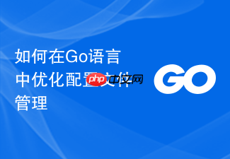 如何在go语言中优化配置文件管理