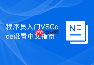 程序员入门vscode设置中文指南