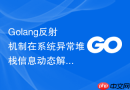 Golang反射机制在系统异常堆栈信息动态解析中的应用