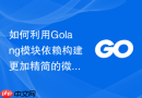 如何利用golang模块依赖构建更加精简的微服务运行镜像