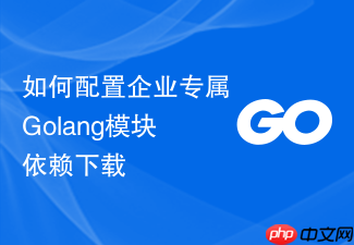 如何配置企业专属golang模块依赖下载