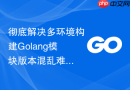 彻底解决多环境构建golang模块版本混乱难题