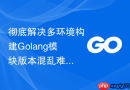 彻底解决多环境构建Golang模块版本混乱难题