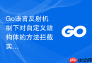 Go语言反射机制下对自定义结构体的方法拦截实现