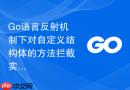 go语言反射机制下对自定义结构体的方法拦截实现