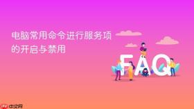 电脑常用命令进行服务项的开启与禁用