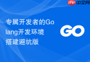 专属开发者的Golang开发环境搭建避坑版
