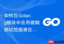 如何在Golang模块中应用模糊测试挖掘潜在的边界条件漏洞