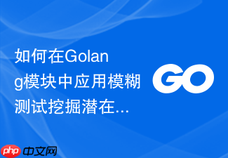 如何在golang模块中应用模糊测试挖掘潜在的边界条件漏洞
