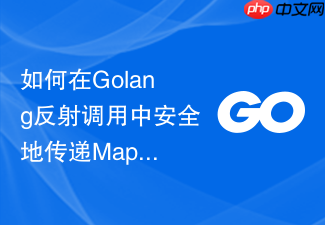 如何在golang反射调用中安全地传递map参数