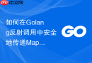 如何在Golang反射调用中安全地传递Map参数